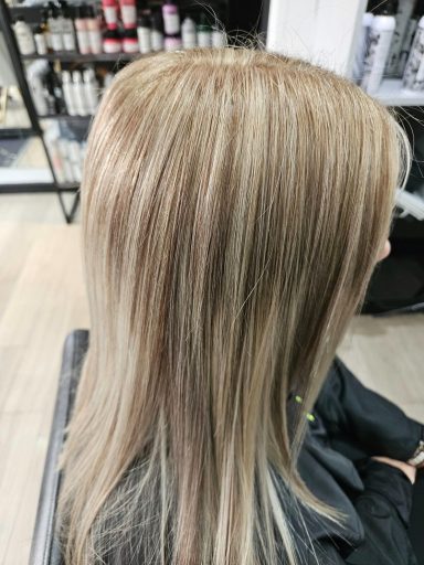 Highlights